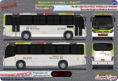 Paranapuan Internorte - Neobus Spectrum City